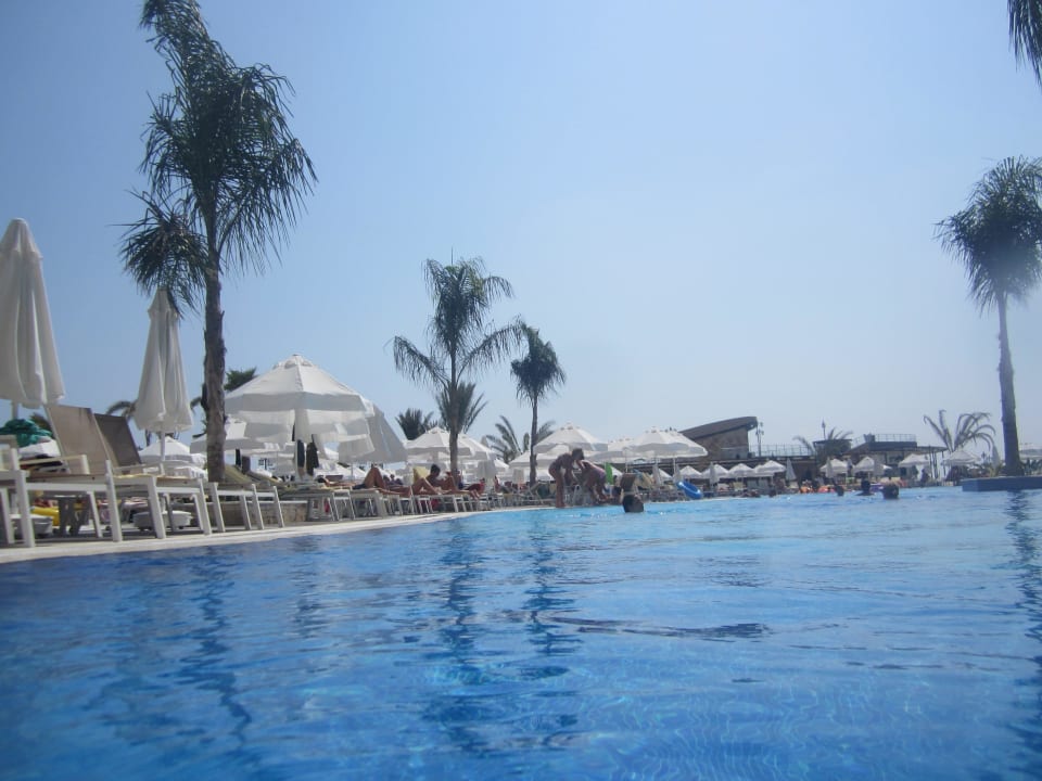 Pool Seaden Sea Planet Resort & Spa