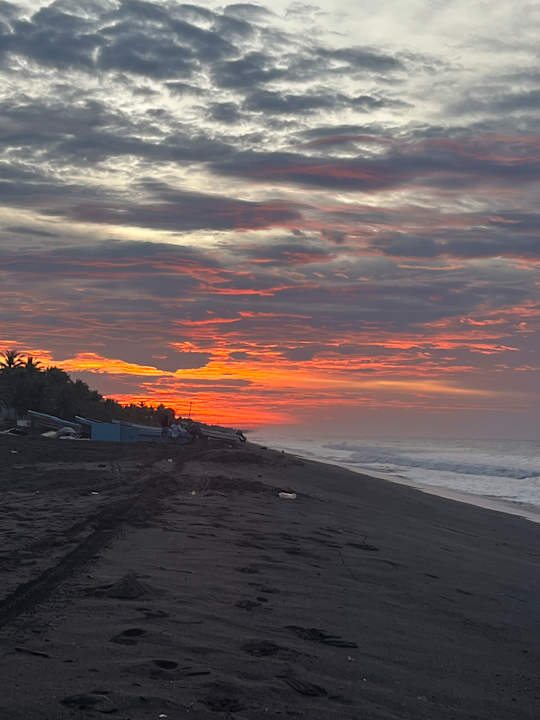Strand Hotel Pez de Oro