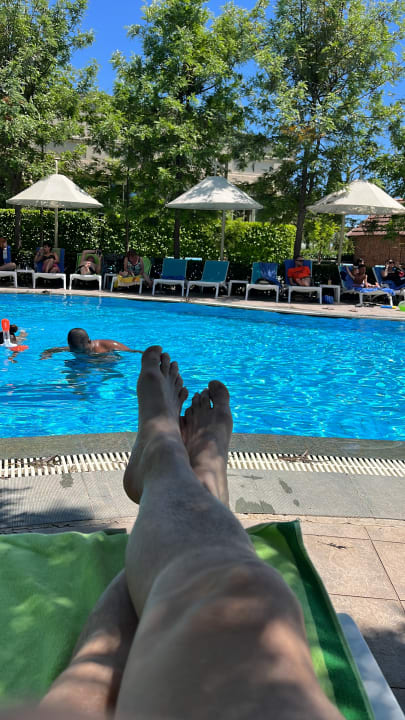 Pool Can Garden Beach