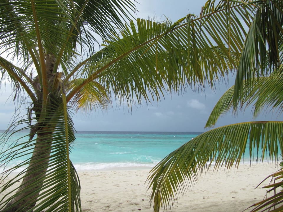 Strandidylle Kuredu Island Resort & Spa