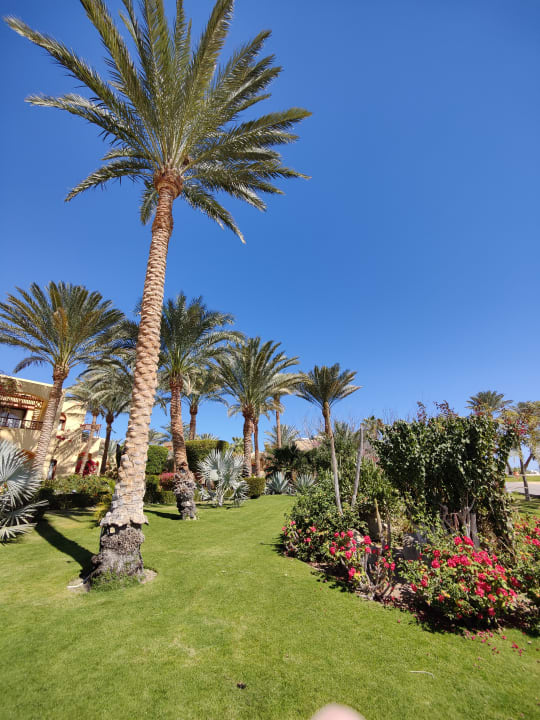 Gartenanlage Steigenberger Coraya Beach - Adults only