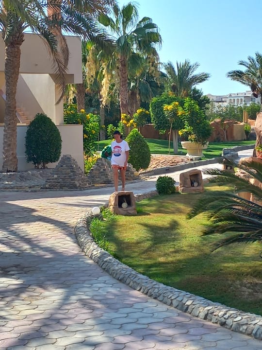 Gartenanlage Three Corners Sea Beach Resort