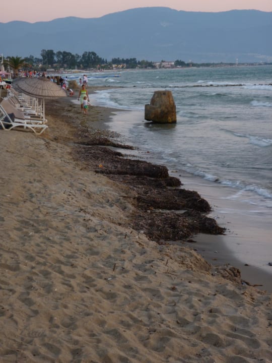 Seegrass satt Ephesia Holiday Beach Club