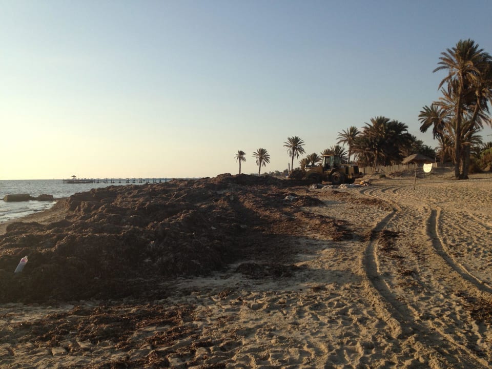 Algenberge  Hotel Sangho Club Zarzis