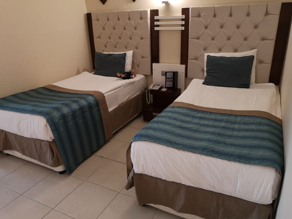 Zimmer Kamelya Aishen Club