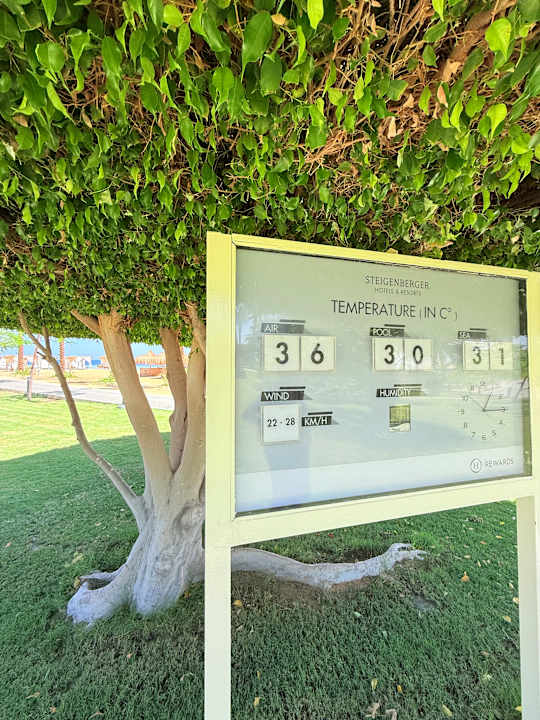 Gartenanlage Steigenberger Coraya Beach - Adults only