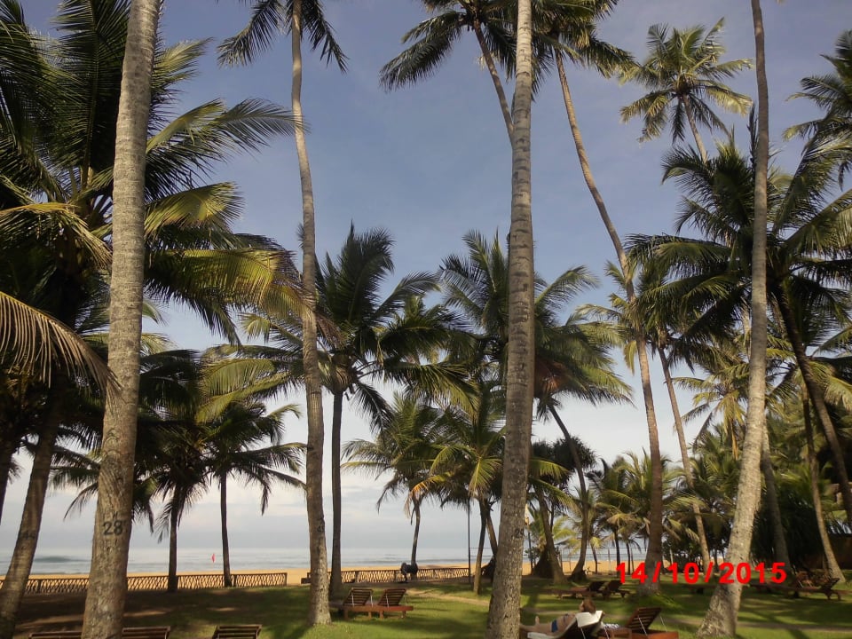 Vom Pool Richtung Meer Mermaid Hotel & Club