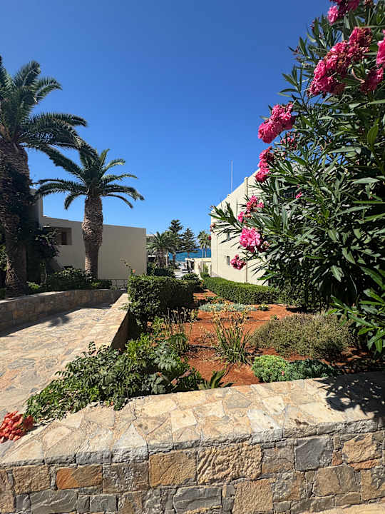 Gartenanlage allsun Hotel Malia Beach