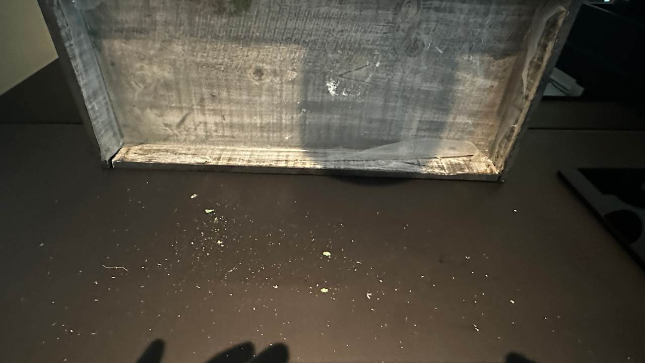 Zimmer Boston Apartments HH