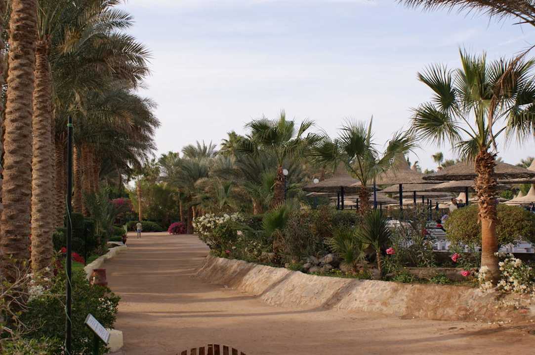 Weg zum Pool Giftun Azur Resort