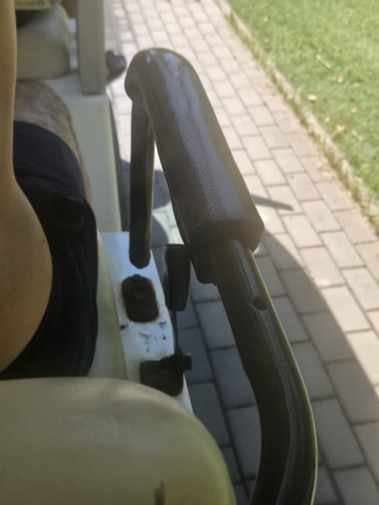 Sonstiges Royal Seginus