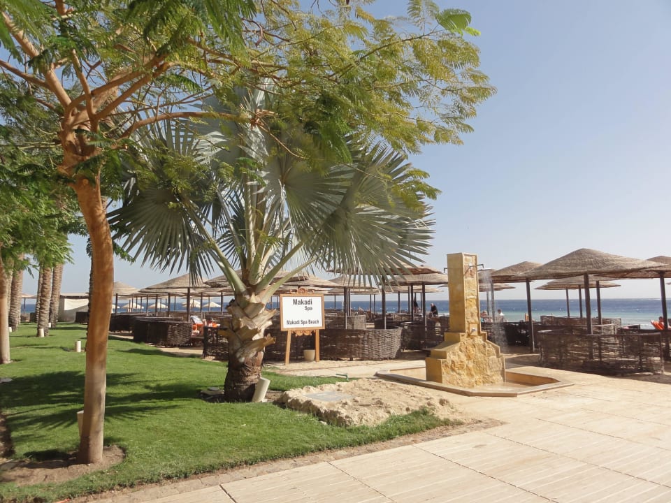 Makadi Beach Makadi Spa - Adults only