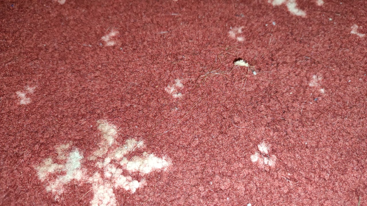 Zimmer STROBLHOF Active Family SPA Resort