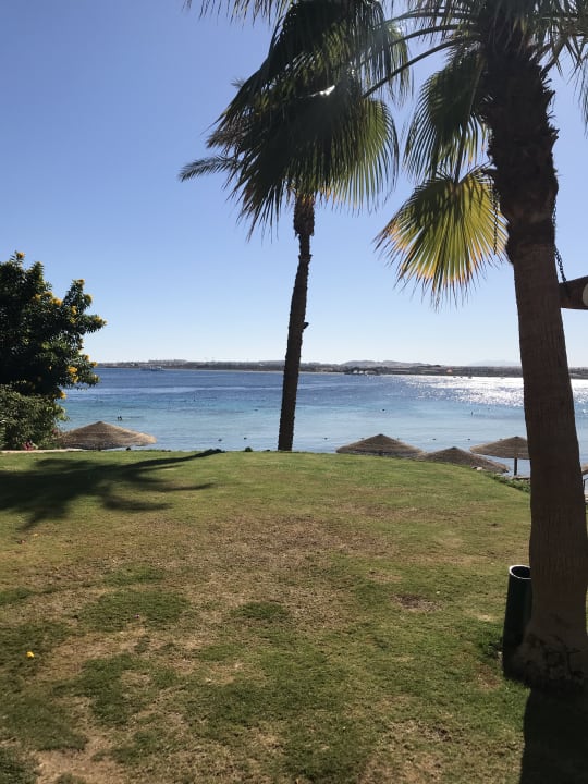 Gartenanlage Residence Arabesque - Villa Arabesque Dahab