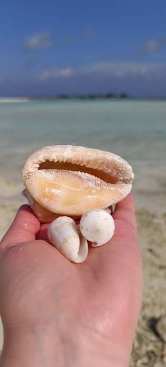 Strand Cinnamon Hakuraa Huraa Maldives