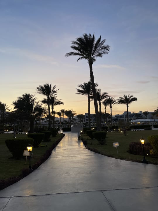 Gartenanlage Steigenberger Alcazar