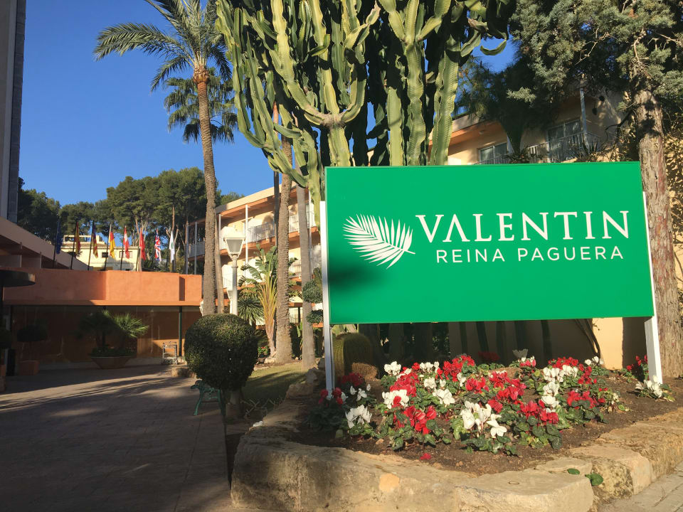 Sonstiges Valentin Reina Paguera