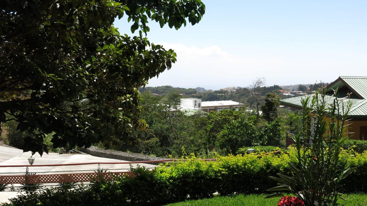 Blick von der Terrasse Hotel Ficus Sunset Suites