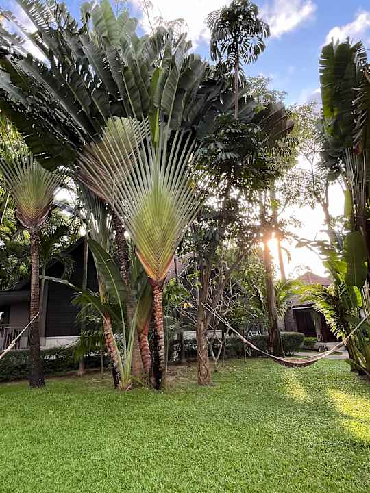 Gartenanlage NH Collection Samui Peace Resort