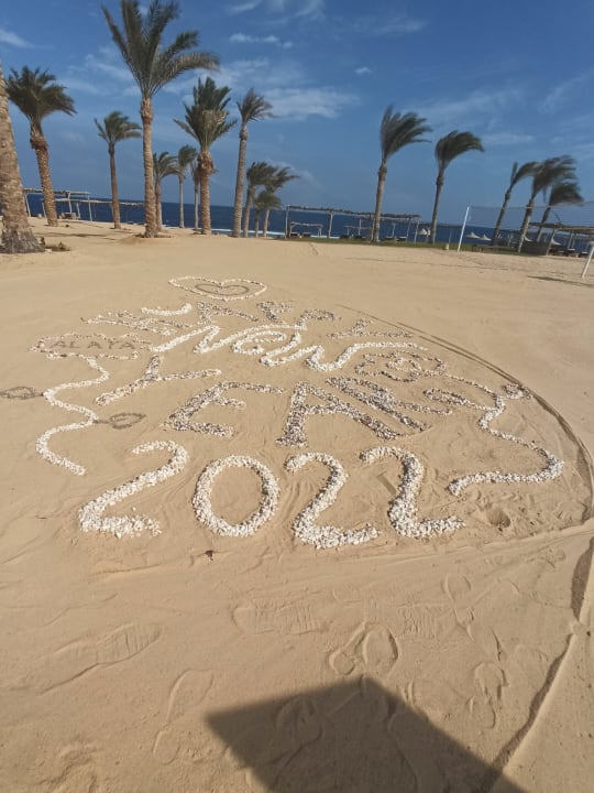 Strand Steigenberger Resort Alaya Marsa Alam - Red Sea - Adults only