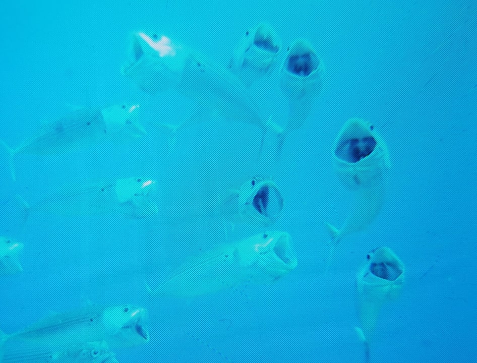 Sport & Freizeit Utopia Beach Club