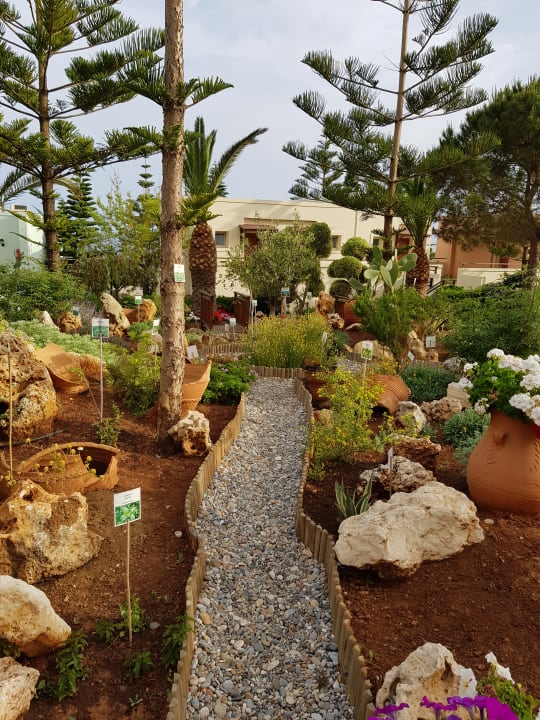 Gartenanlage Iberostar Selection Creta Marine