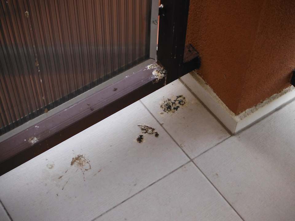 Balkon Apartments Lazurowy Dwor