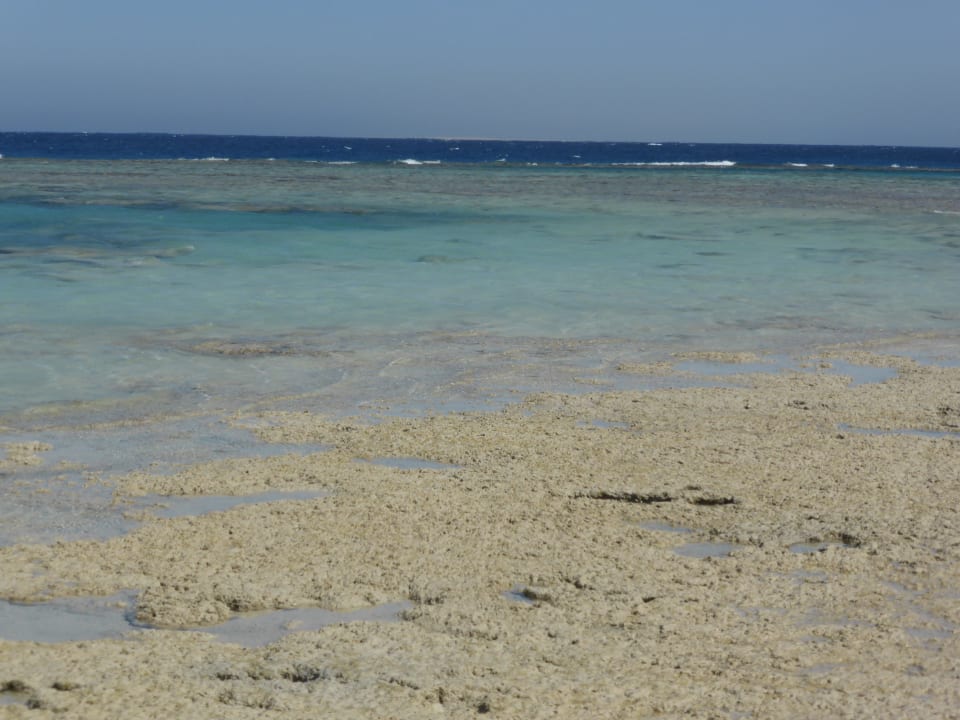 Strand bei Ebbe Hotel Gorgonia Beach Resort