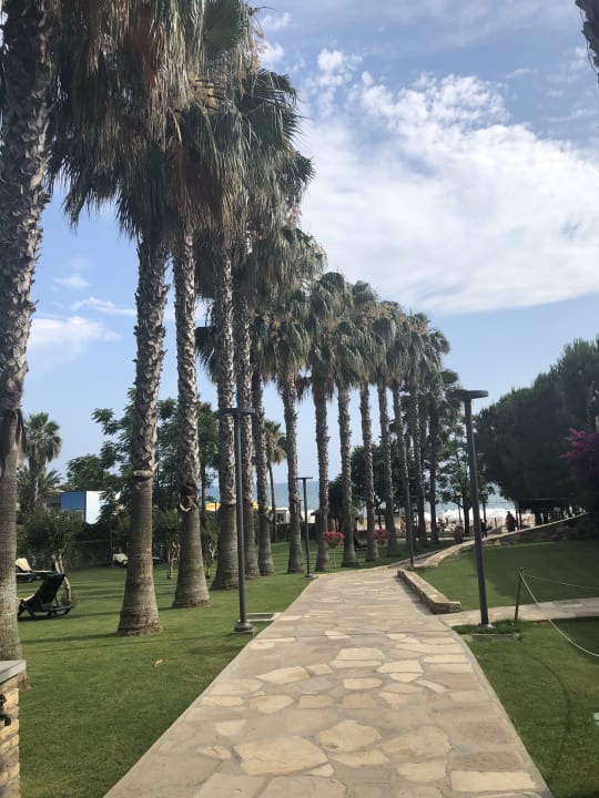 Gartenanlage Arum Barut Collection