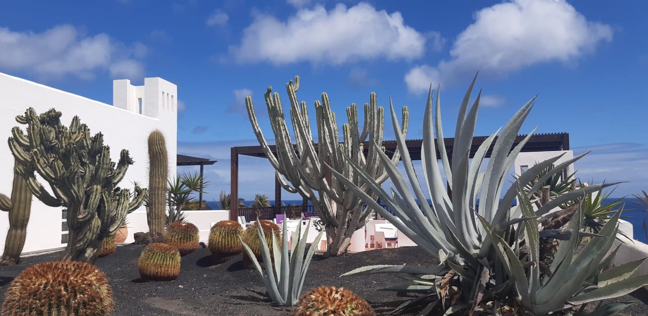 Gartenanlage Club Jandia Princess