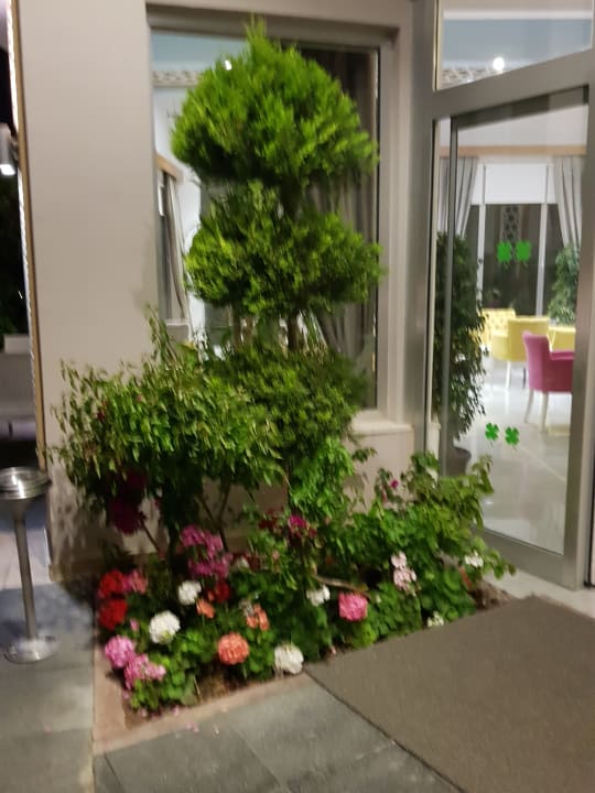 Sonstiges Sun Club Hotel