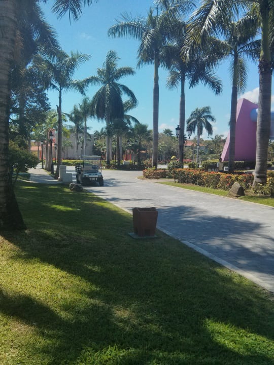 Gartenanlage Iberostar Waves Paraiso Beach