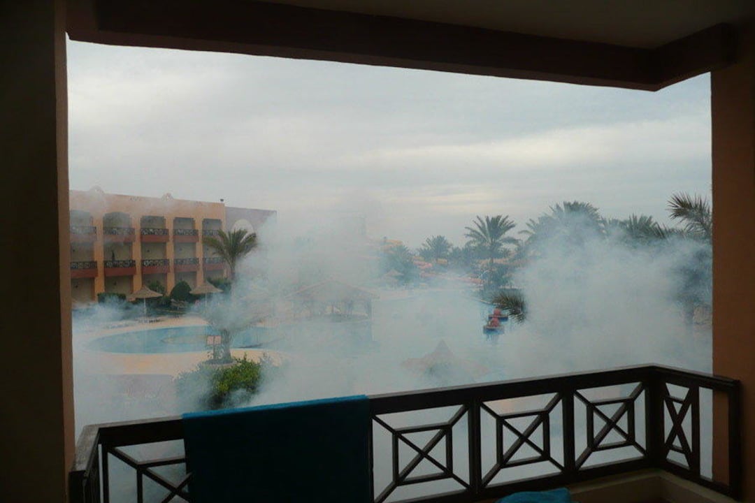 Moskitobekämpfung Hotel Nubian Village