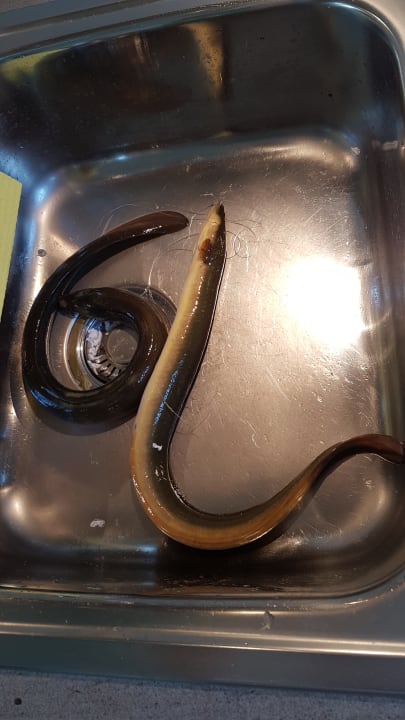 Sonstiges Ferienhaus Hemenswarft direkt an der Nordsee mit Meerblick