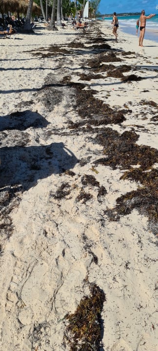 Strand Grand Palladium Punta Cana Resort & Spa