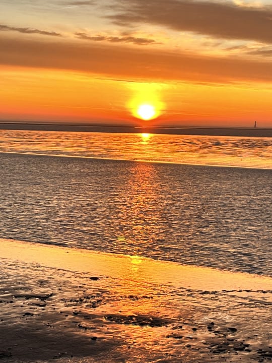 Ausblick Fliegerdeich Hotel & Restaurant