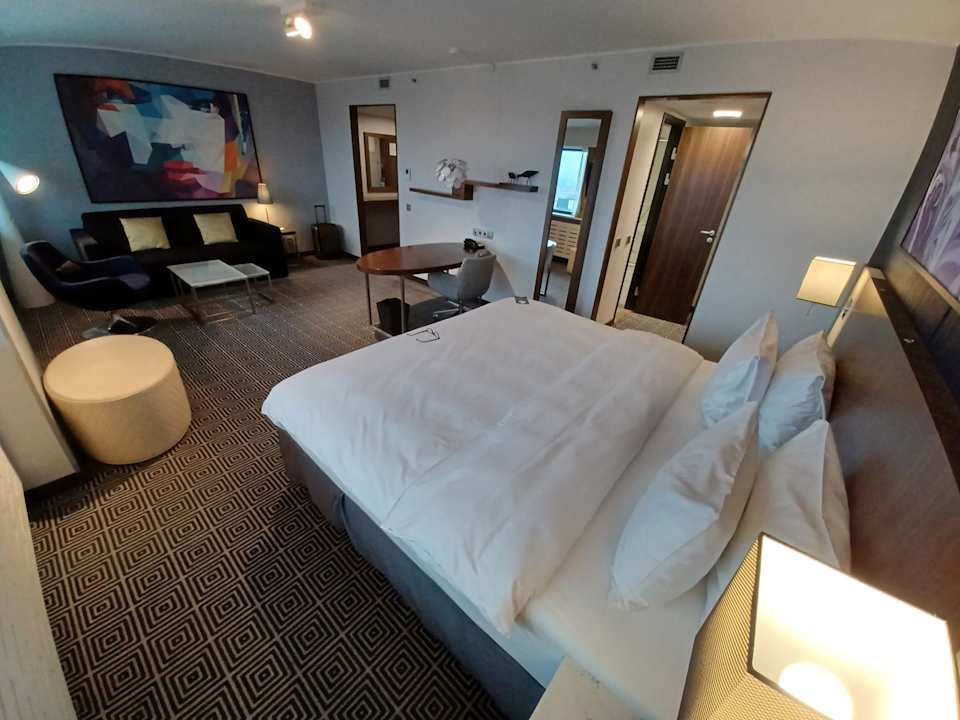 Zimmer Hotel Radisson Blu Lietuva