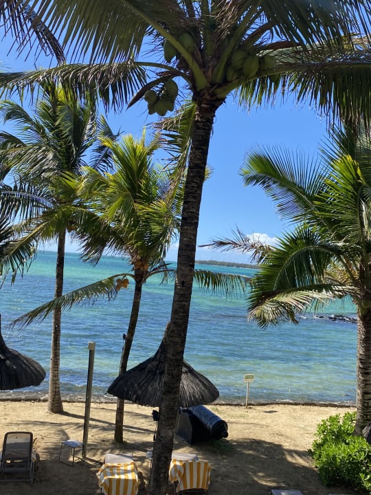 Ausblick Tropical Attitude - Adults only