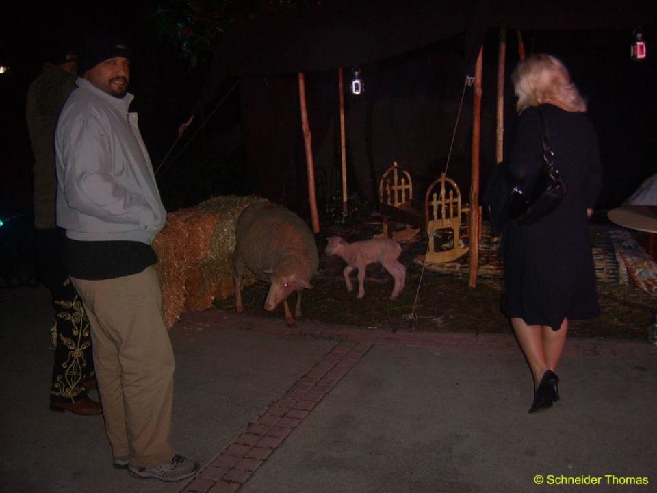 Weihnachtsgala Asteria Family Belek