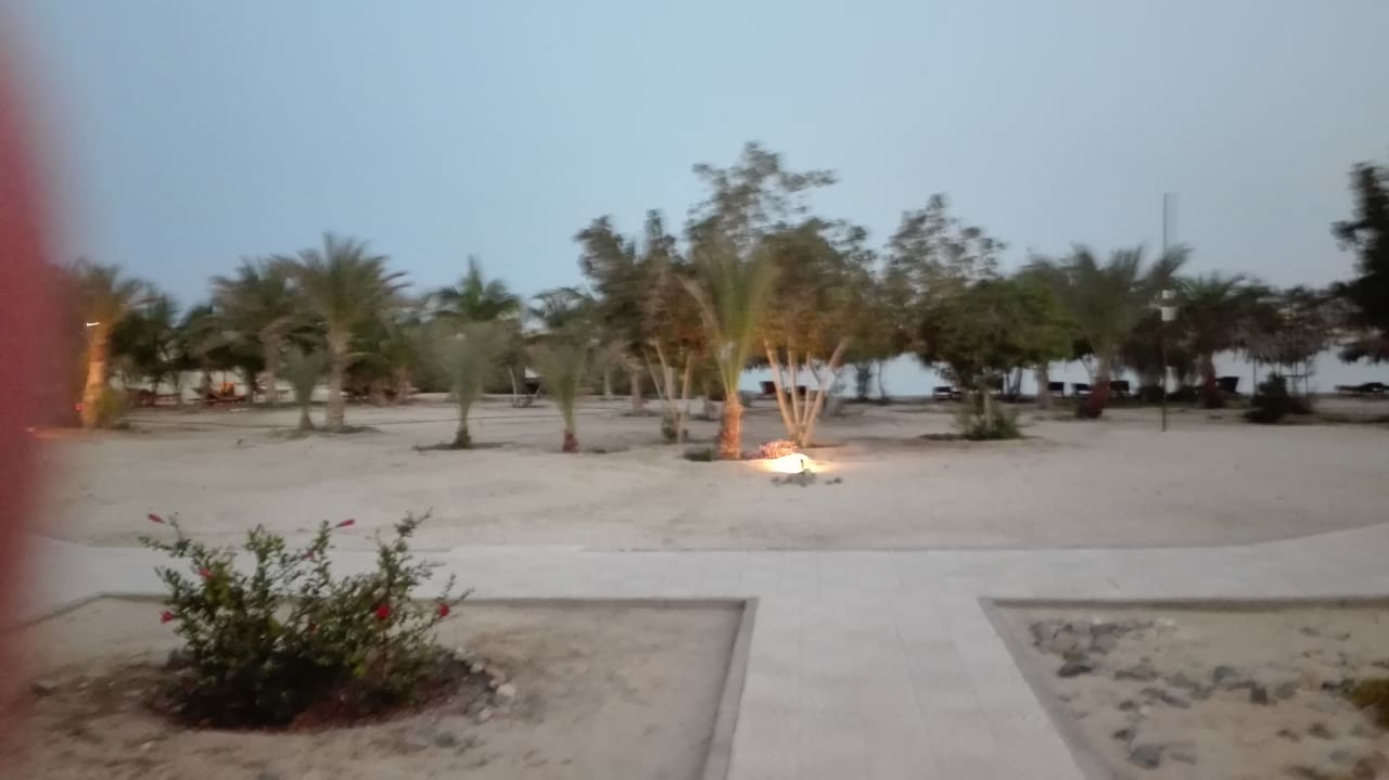 Ausblick Hotel Mangrove Bay Resort