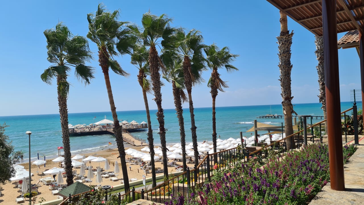 Ausblick Arum Barut Collection