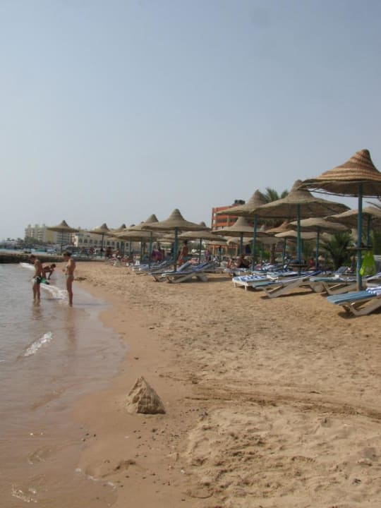 "Großer" Strand Bella Vista Resort Hurghada