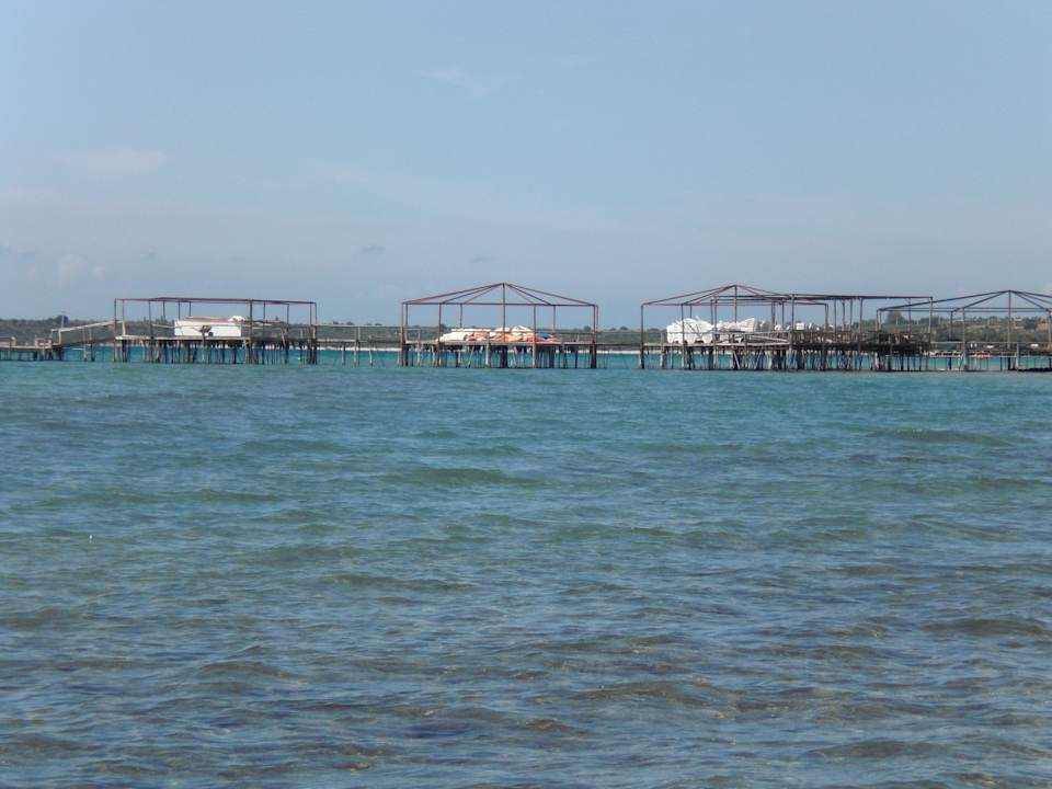 Steeg Asteria Venus Didim