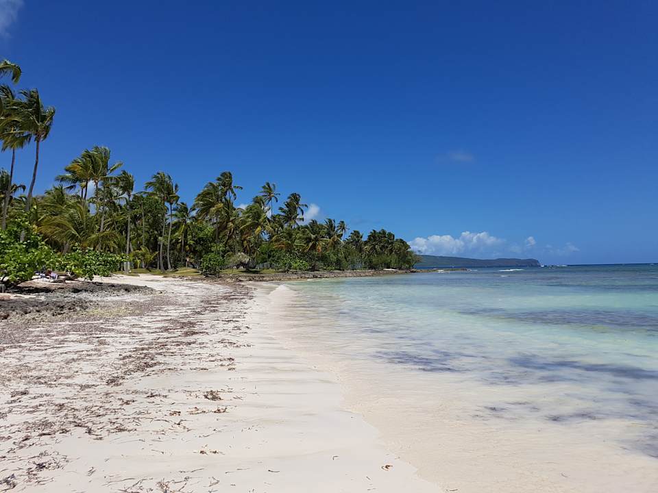 Strand Wyndham Alltra Samana