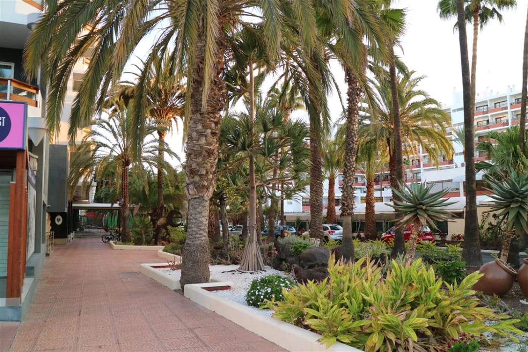 Sonstiges Bull Escorial & Spa