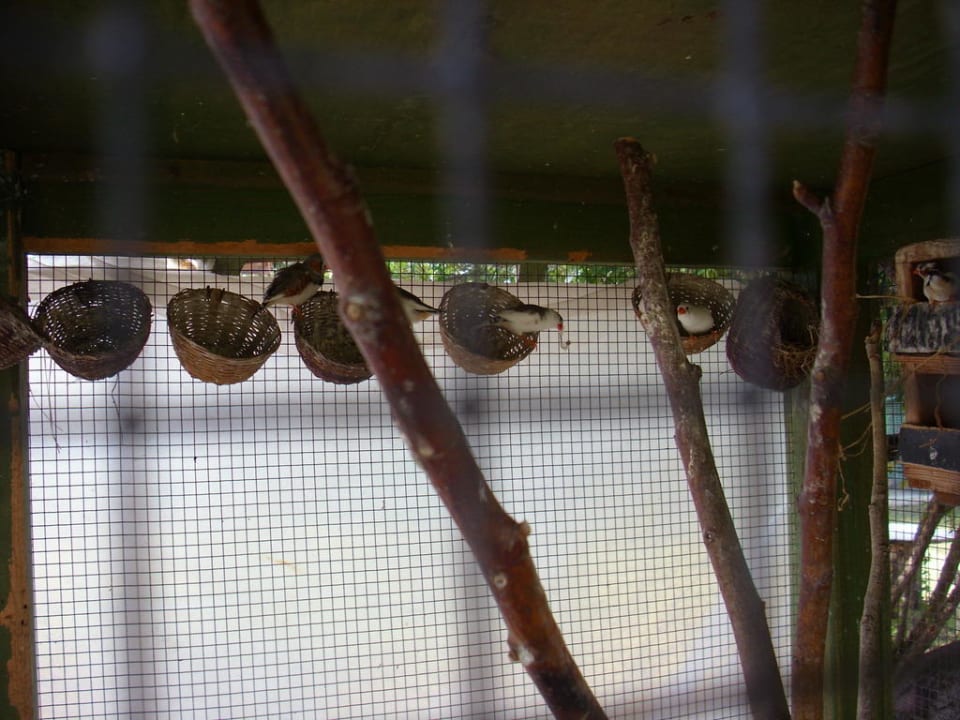 Kleintierzoo Club Tuana Fethiye