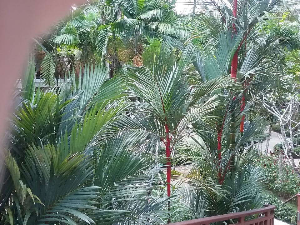 Gartenanlage Khao Lak Bayfront Resort