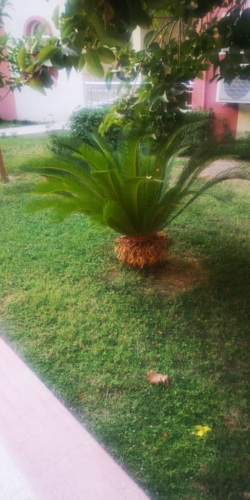 Gartenanlage Hotel Sirma