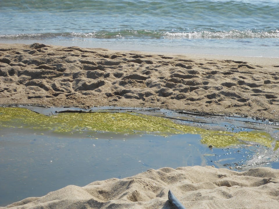Strand Hotel Cazablanka / Casablanca