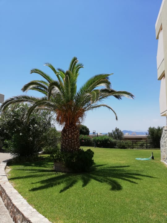 Gartenanlage Hotel Kalithea Horizon Royal